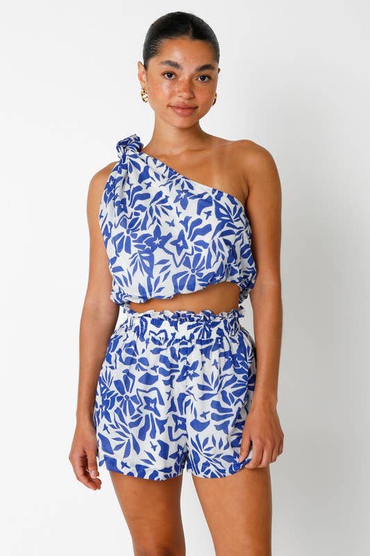 Ayla Top